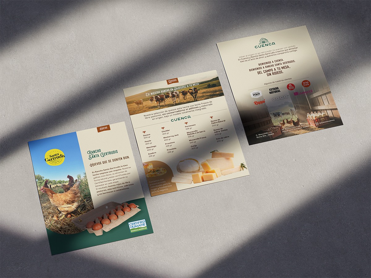 Catalogue Overview
