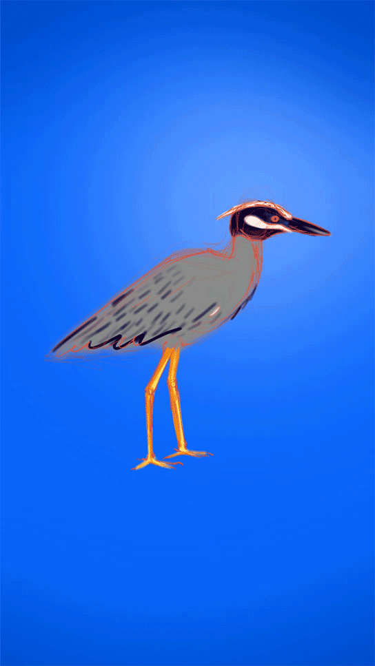 Garza gif
